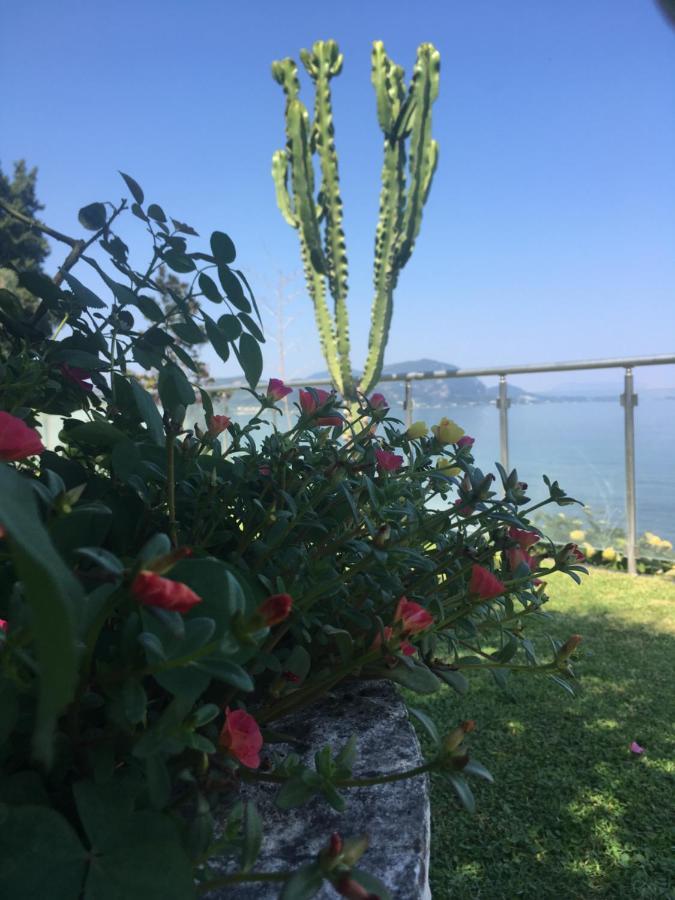 Villa Evita Meszongí Kültér fotó