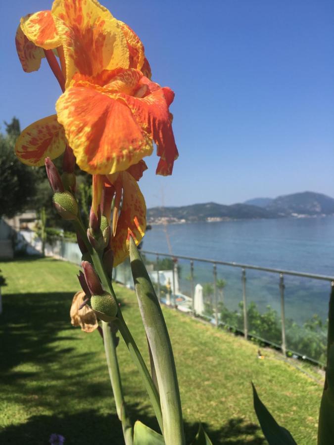 Villa Evita Meszongí Kültér fotó